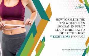 Holistic Weight Loss Program: The Complete Guide to Sustainable Wellness